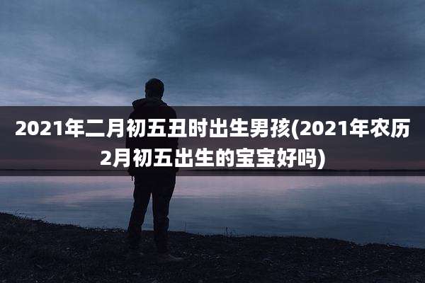 2021年二月初五丑时出生男孩(2021年农历2月初五出生的宝宝好吗)