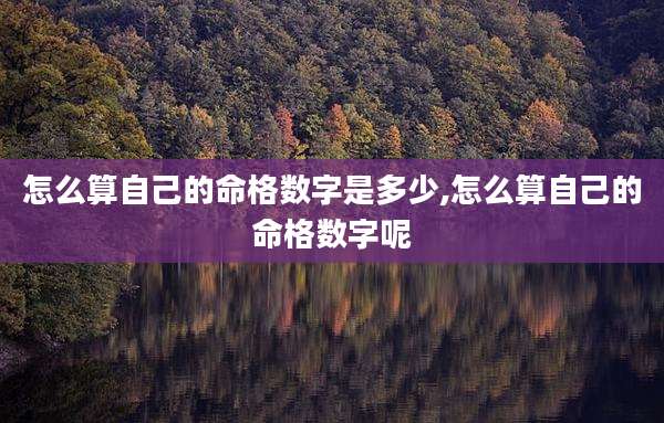 怎么算自己的命格数字是多少,怎么算自己的命格数字呢