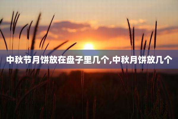 中秋节月饼放在盘子里几个,中秋月饼放几个