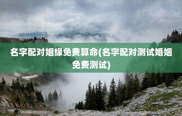 名字配对姻缘免费算命(名字配对测试婚姻免费测试)