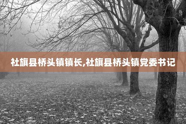 社旗县桥头镇镇长,社旗县桥头镇党委书记
