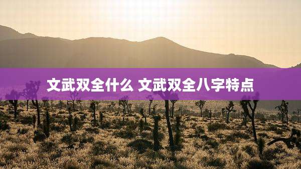 文武双全什么 文武双全八字特点