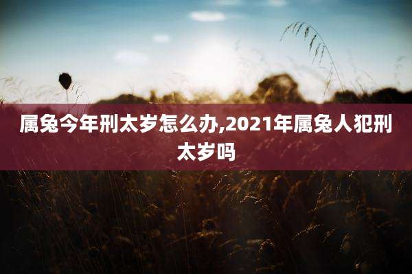 属兔今年刑太岁怎么办,2021年属兔人犯刑太岁吗