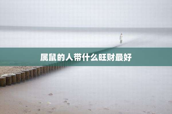 属鼠的人带什么旺财最好