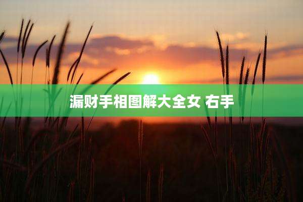 漏财手相图解大全女 右手