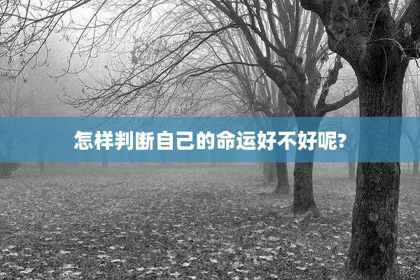 怎样判断自己的命运好不好呢?