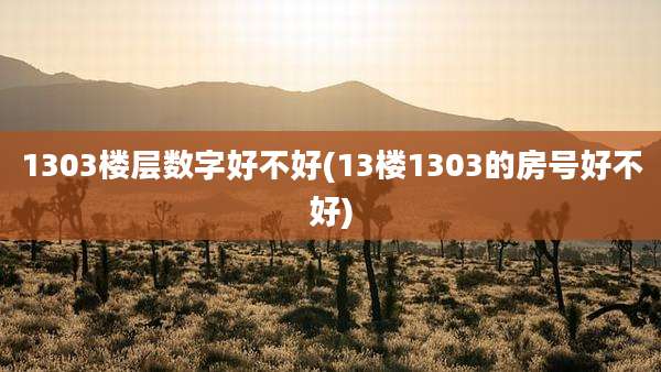 1303楼层数字好不好(13楼1303的房号好不好)