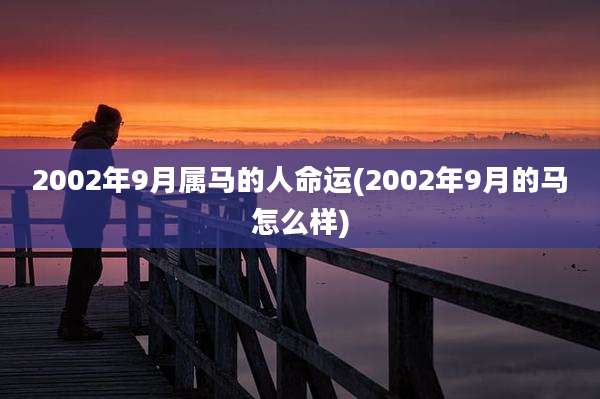 2002年9月属马的人命运(2002年9月的马怎么样)