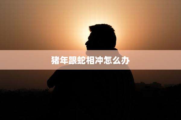 猪年跟蛇相冲怎么办