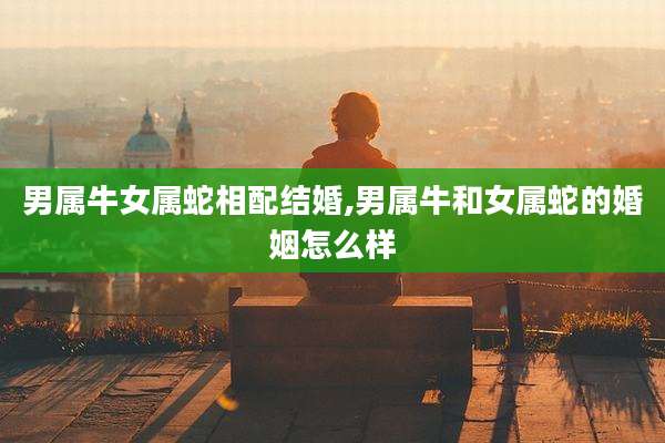 男属牛女属蛇相配结婚,男属牛和女属蛇的婚姻怎么样