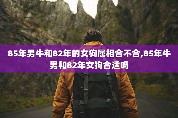 85年男牛和82年的女狗属相合不合,85年牛男和82年女狗合适吗