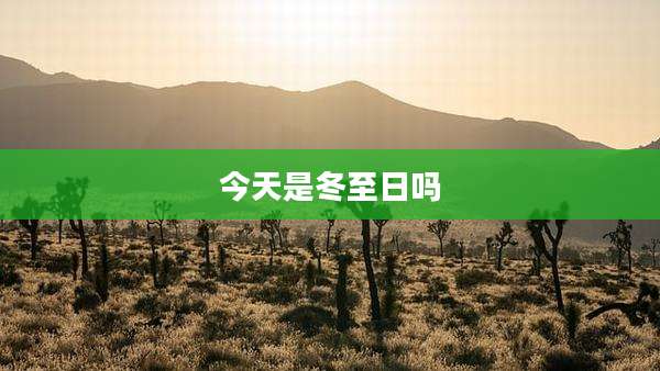 今天是冬至日吗