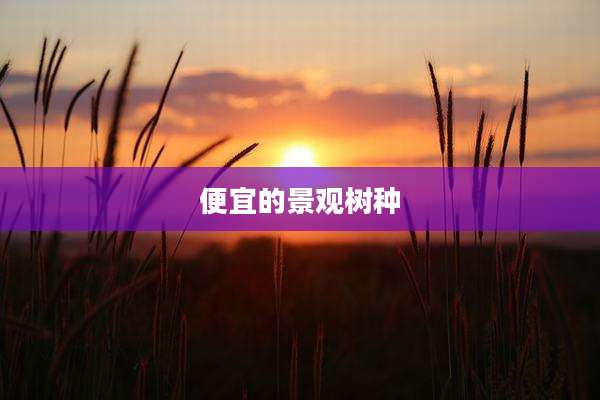 便宜的景观树种
