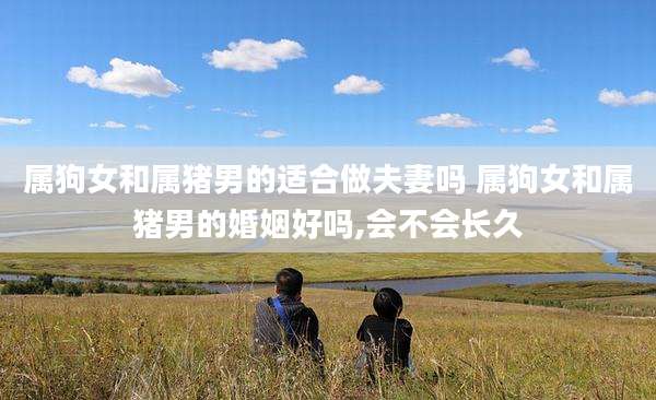 属狗女和属猪男的适合做夫妻吗 属狗女和属猪男的婚姻好吗,会不会长久