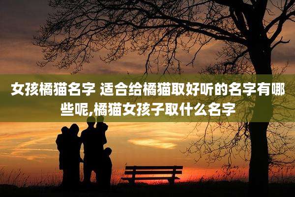 女孩橘猫名字 适合给橘猫取好听的名字有哪些呢,橘猫女孩子取什么名字