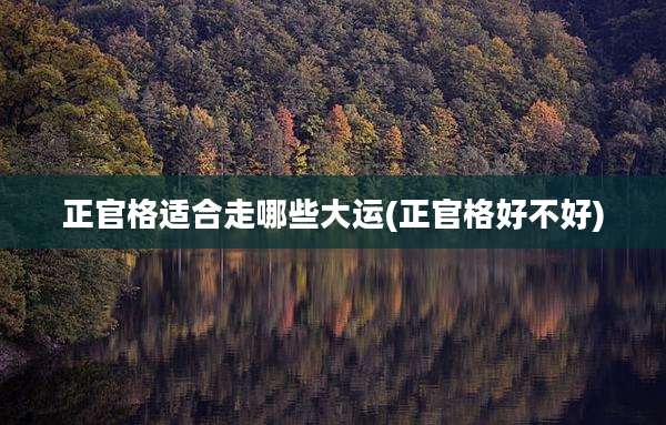 正官格适合走哪些大运(正官格好不好)