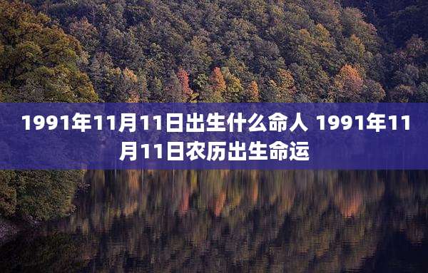 1991年11月11日出生什么命人 1991年11月11日农历出生命运
