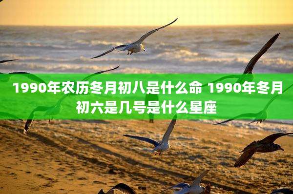 1990年农历冬月初八是什么命 1990年冬月初六是几号是什么星座