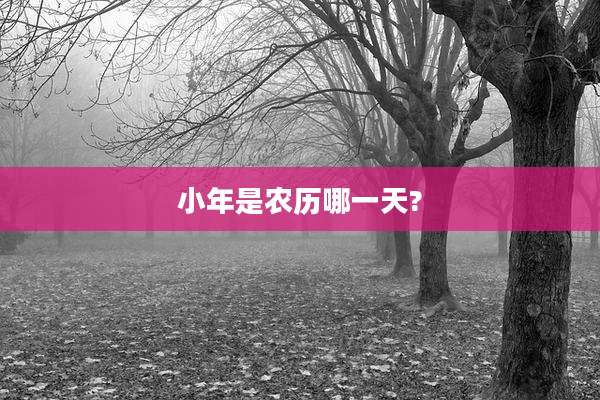 小年是农历哪一天?