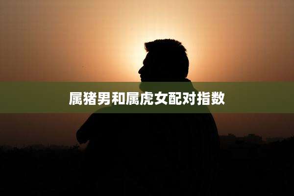 属猪男和属虎女配对指数