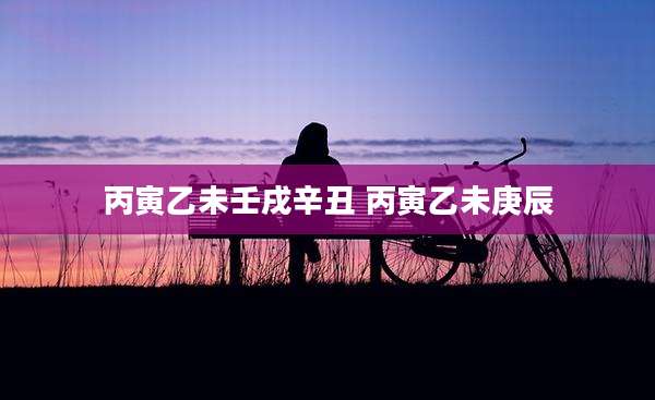 丙寅乙未壬戌辛丑 丙寅乙未庚辰