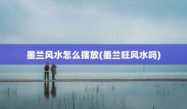墨兰风水怎么摆放(墨兰旺风水吗)