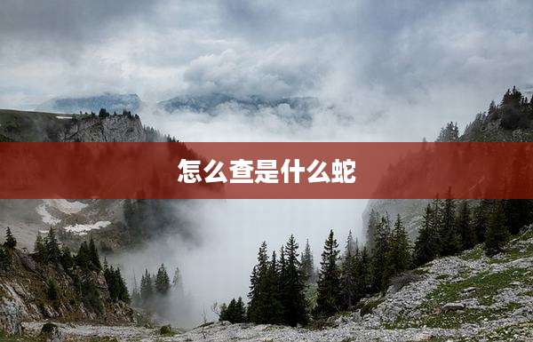 怎么查是什么蛇