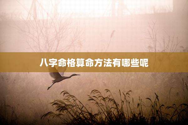 八字命格算命方法有哪些呢
