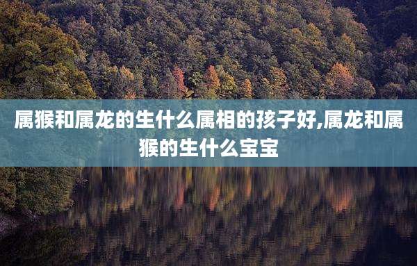 属猴和属龙的生什么属相的孩子好,属龙和属猴的生什么宝宝