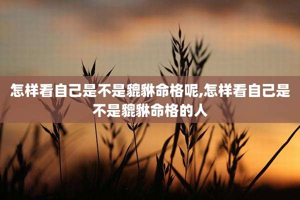 怎样看自己是不是貔貅命格呢,怎样看自己是不是貔貅命格的人