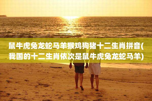 鼠牛虎兔龙蛇马羊猴鸡狗猪十二生肖拼音(我国的十二生肖依次是鼠牛虎兔龙蛇马羊)