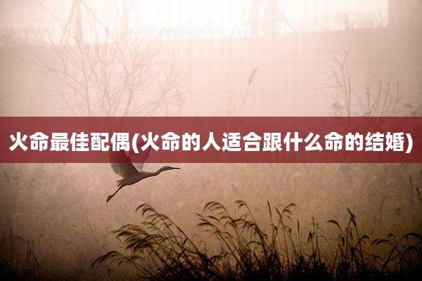 火命最佳配偶(火命的人适合跟什么命的结婚)