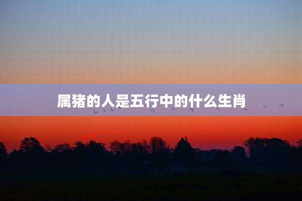 属猪的人是五行中的什么生肖