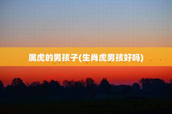 属虎的男孩子(生肖虎男孩好吗)