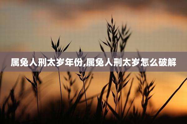 属兔人刑太岁年份,属兔人刑太岁怎么破解