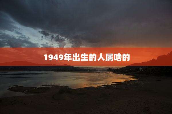 1949年出生的人属啥的