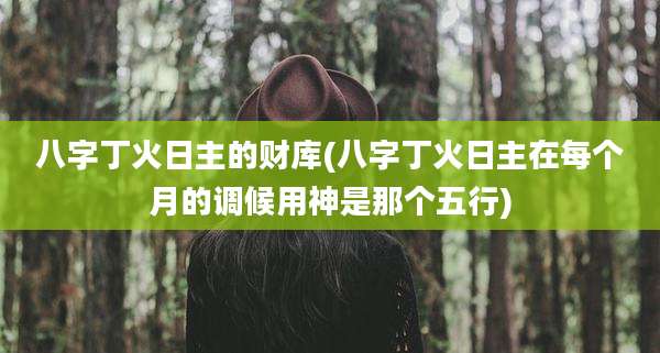 八字丁火日主的财库(八字丁火日主在每个月的调候用神是那个五行)