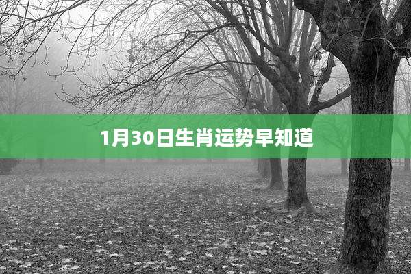 1月30日生肖运势早知道