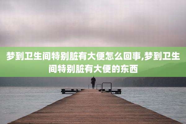 梦到卫生间特别脏有大便怎么回事,梦到卫生间特别脏有大便的东西