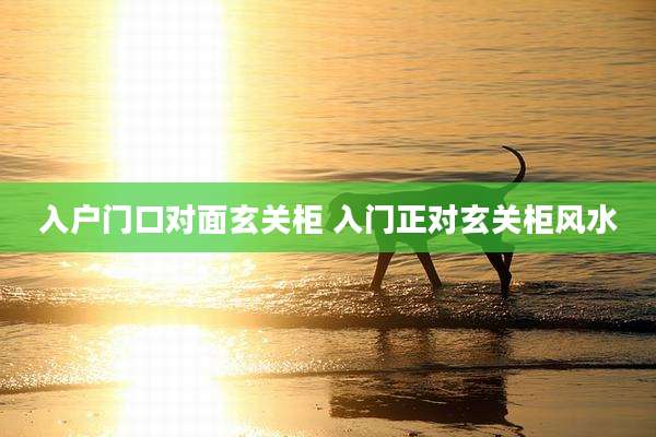 入户门口对面玄关柜 入门正对玄关柜风水