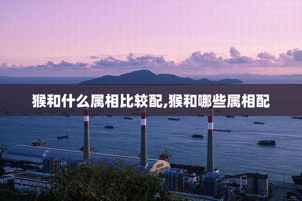 猴和什么属相比较配,猴和哪些属相配