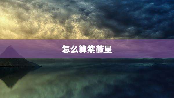 怎么算紫薇星