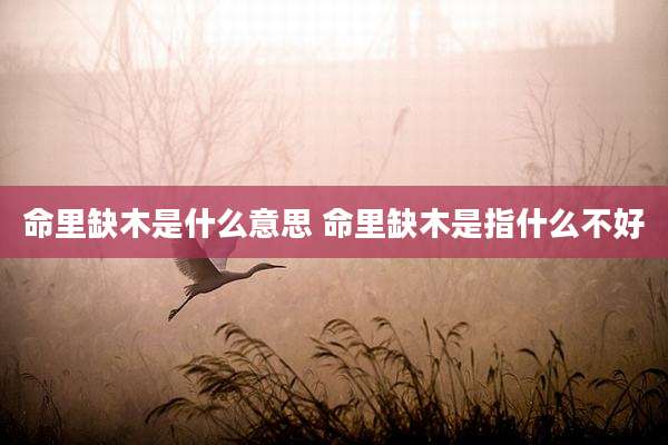 命里缺木是什么意思 命里缺木是指什么不好