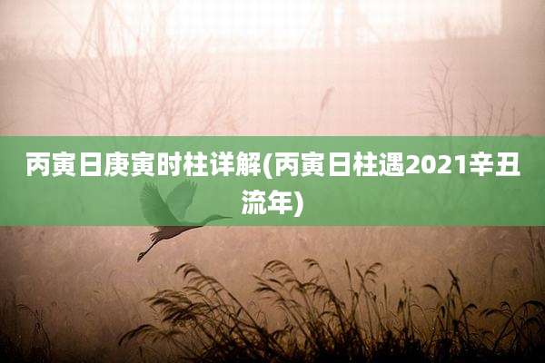 丙寅日庚寅时柱详解(丙寅日柱遇2021辛丑流年)