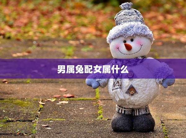 男属兔配女属什么