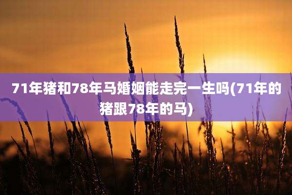 71年猪和78年马婚姻能走完一生吗(71年的猪跟78年的马)