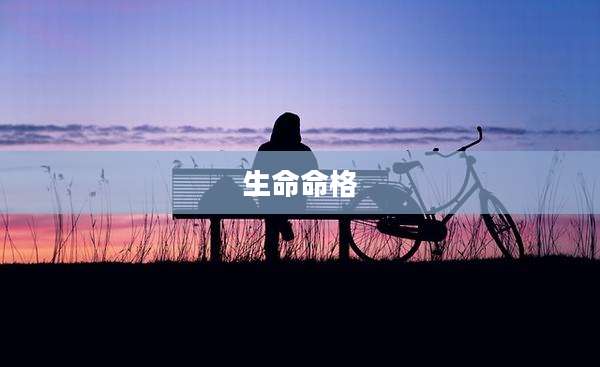 生命命格