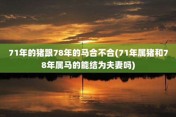 71年的猪跟78年的马合不合(71年属猪和78年属马的能结为夫妻吗)