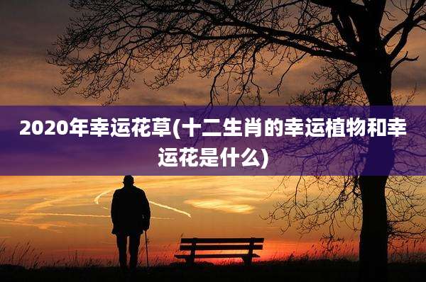 2020年幸运花草(十二生肖的幸运植物和幸运花是什么)