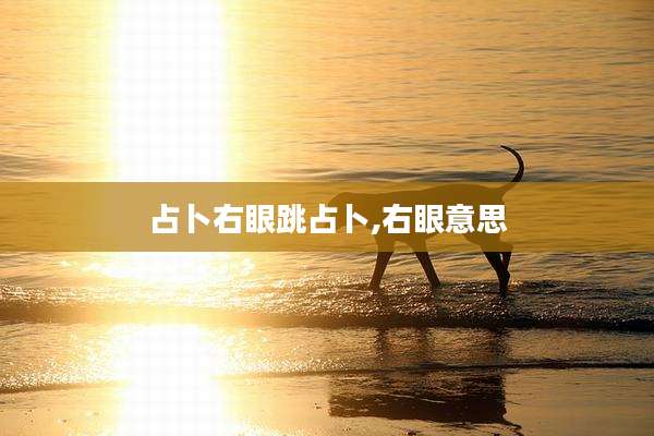 占卜右眼跳占卜,右眼意思